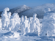  観光地蔵王の冬の画像