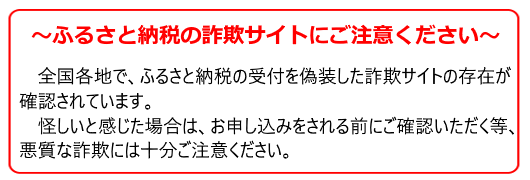 詐欺サイトに注意